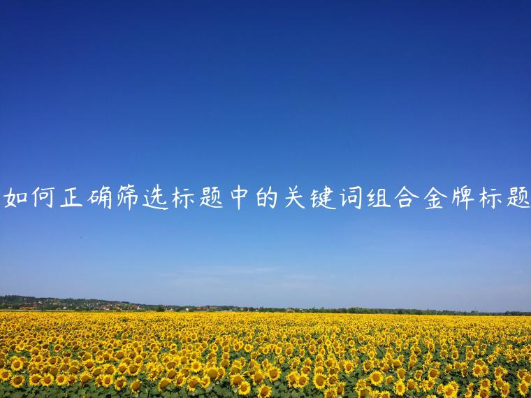 如何正確篩選標(biāo)題中的關(guān)鍵詞組合金牌標(biāo)題